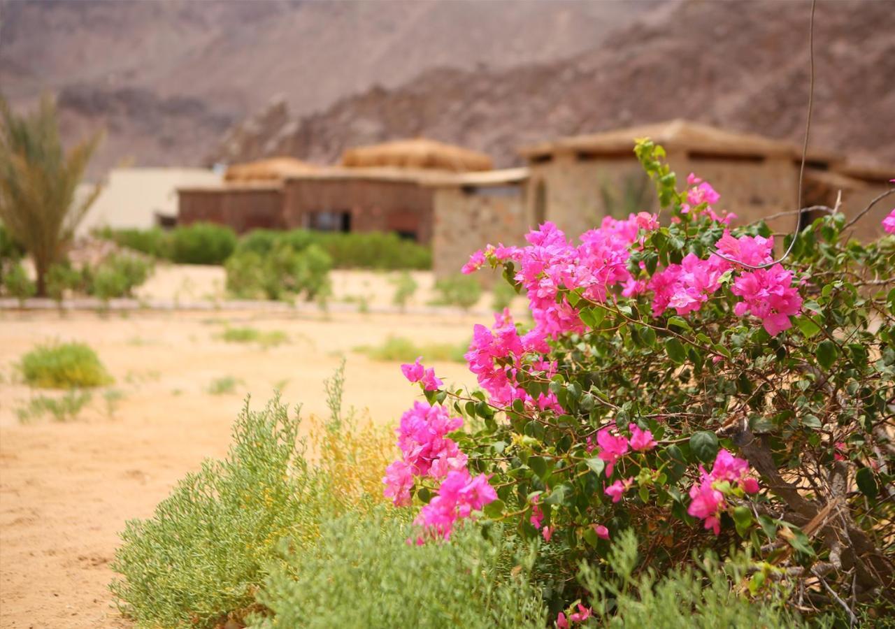 Safari Beach Nuweiba` Extérieur photo